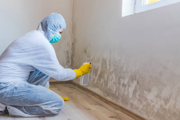 Hvac And Air Duct Mold Remediation inspection of HVAC system in Weston