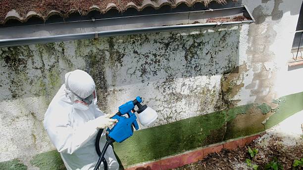 Mold Remediation service in Weston, Weston, MA